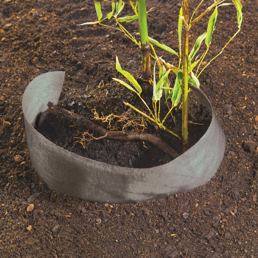 Scheurvast worteldoek - Willemse