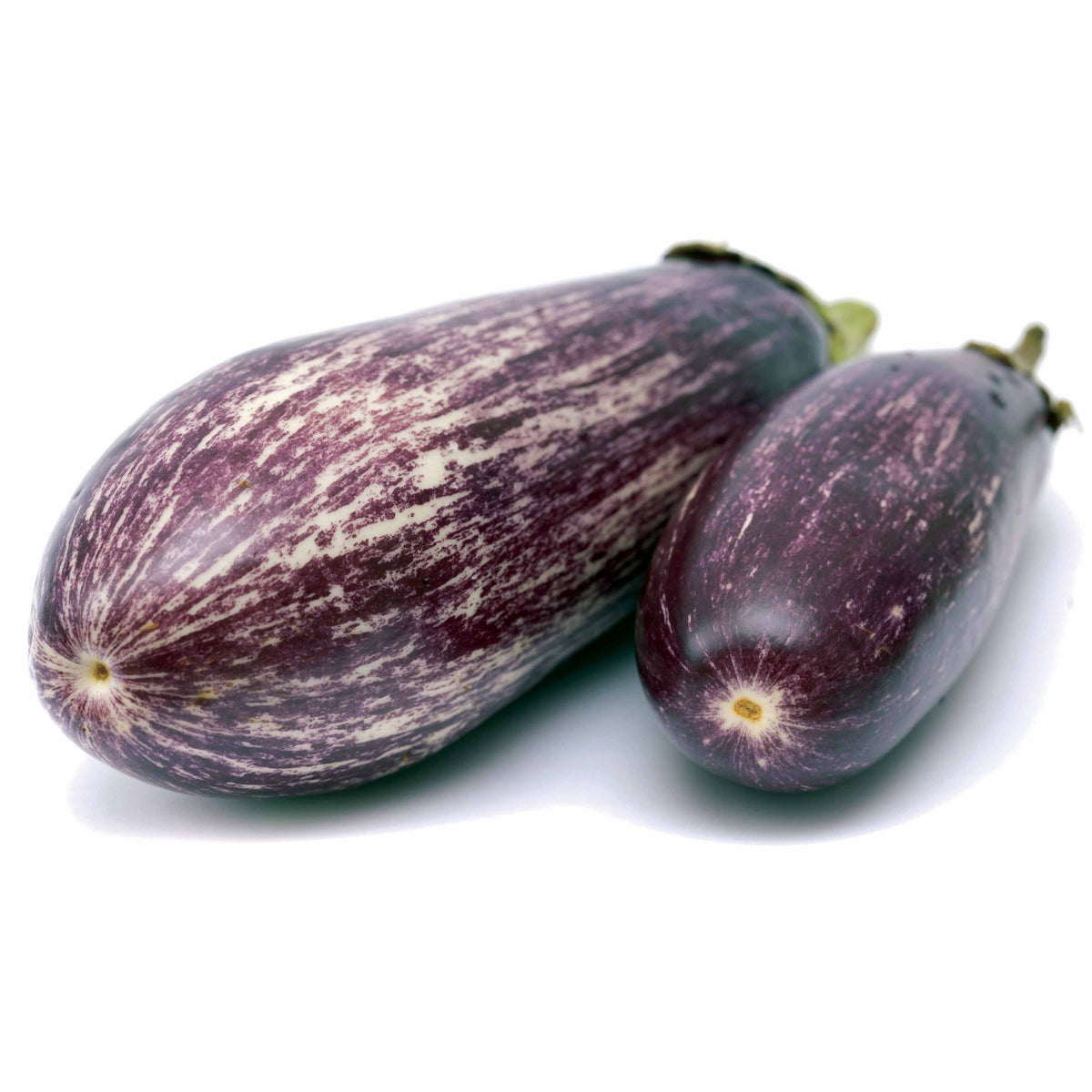 Aubergine 'Rania' - Solanum melongena rania - Groente