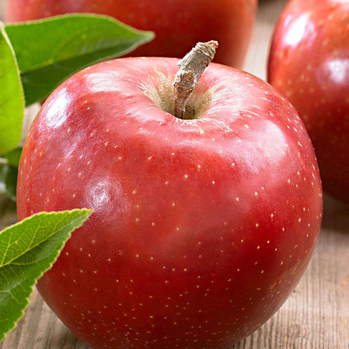 Malus domestica jonagold - Appelboom 'Jonagold' - Appelbomen