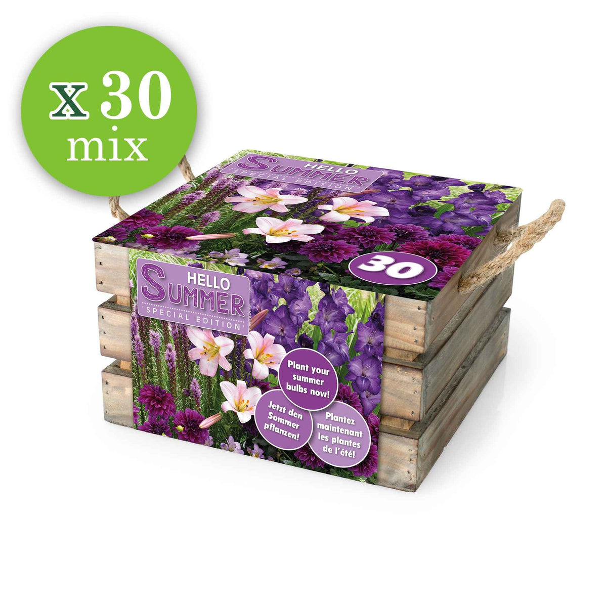 Bloembollen - Mix 'Hello Summer!' (x30) - Dahlia, lilium, gladiolus, liatris - Willemse