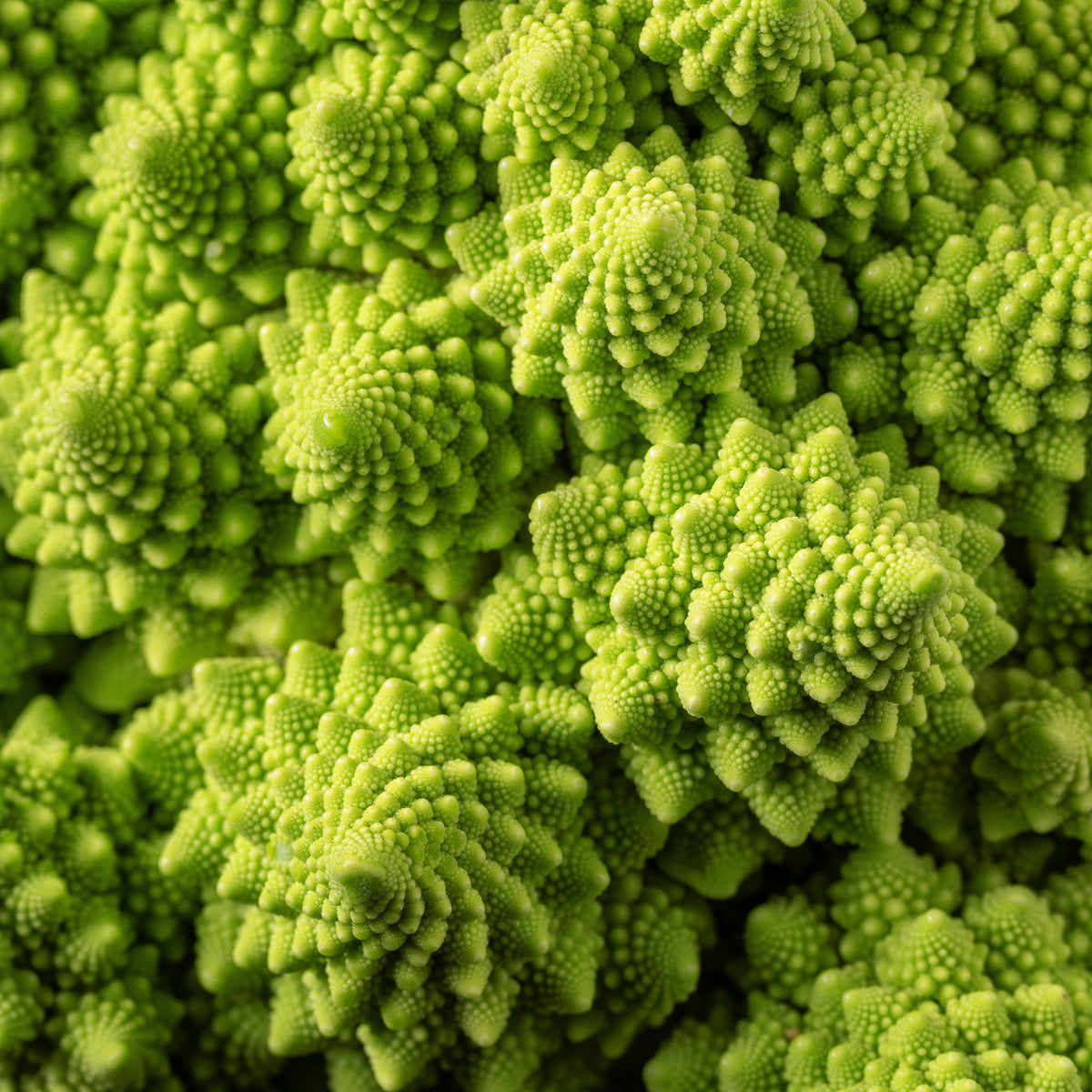 Romanesco