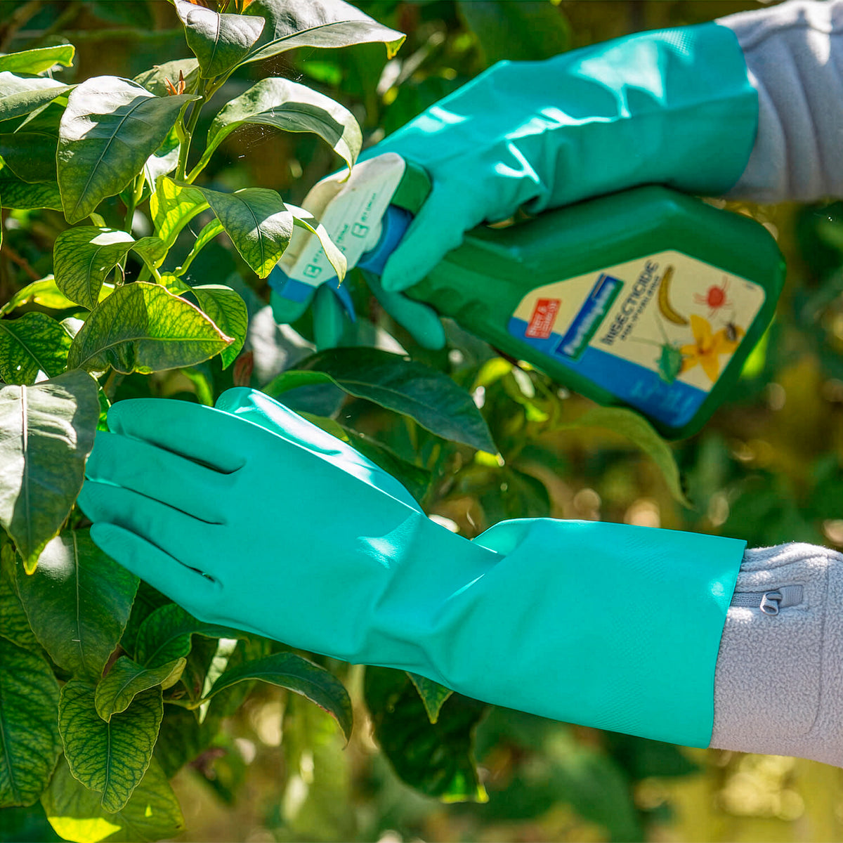 Paar nitril handschoenen - - Willemse
