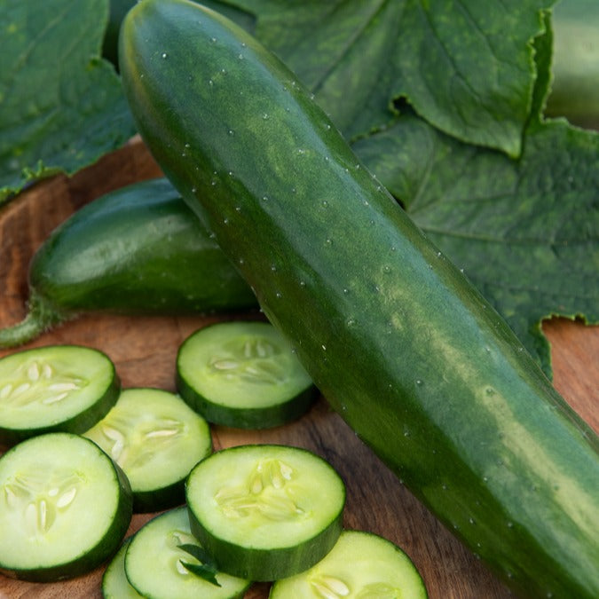 Komkommer 'Le Généreux'