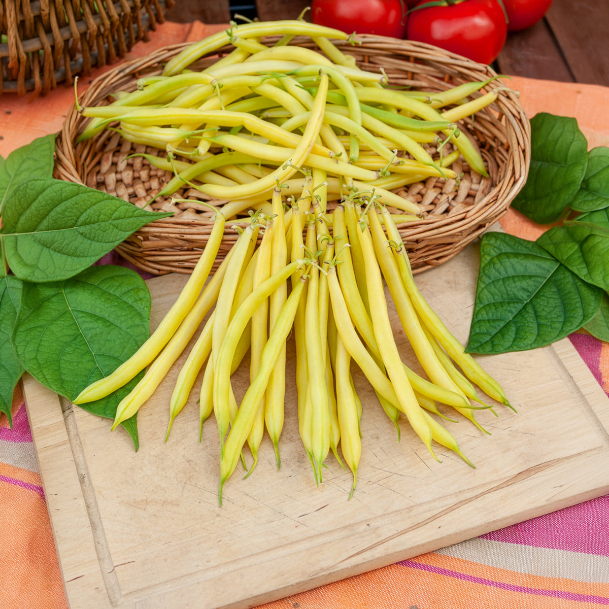 Boterboon 'Fructidor'