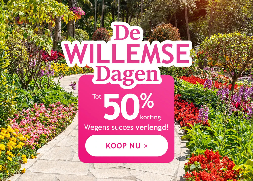 Uitzonderlijke verlenging: Willemse Dagen tot -50%