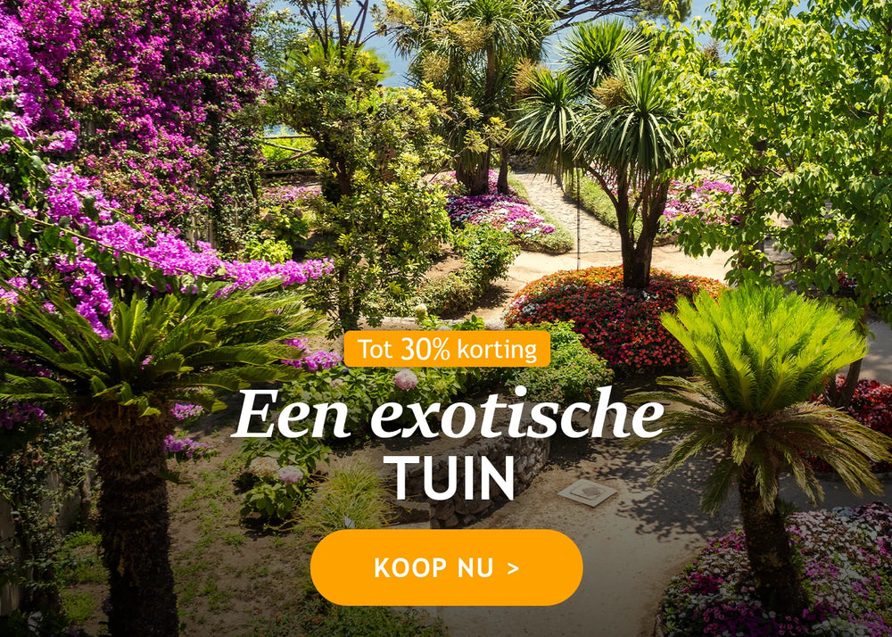 Een exotische tuin tot 30% korting!
