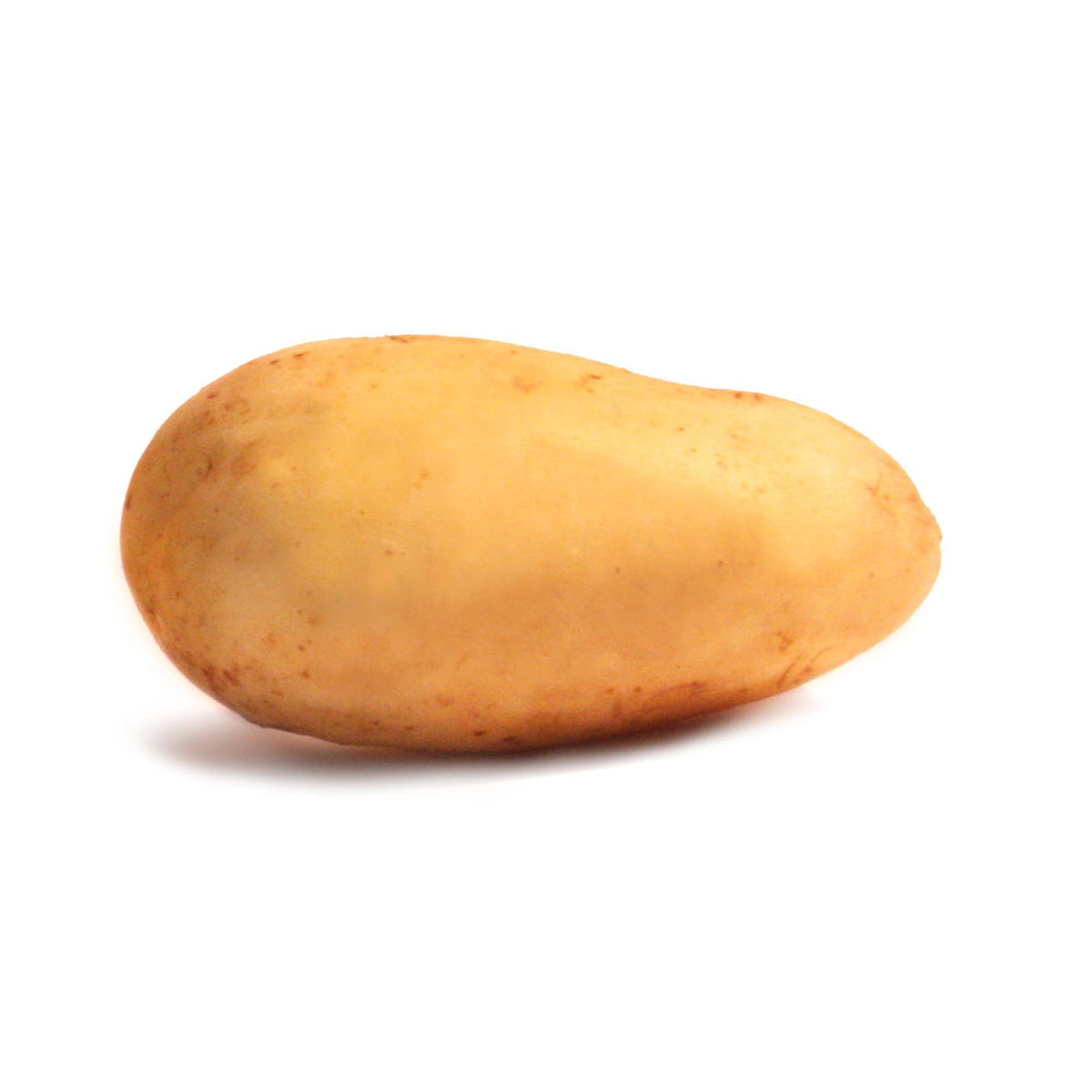 Aardappel 'Blanche' - BIO (x25) - Solanum tuberosum blanche (cn 991131) - Willemse