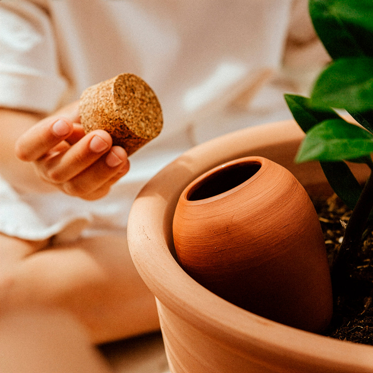 - Olla - Terracotta - Tuinbewatering