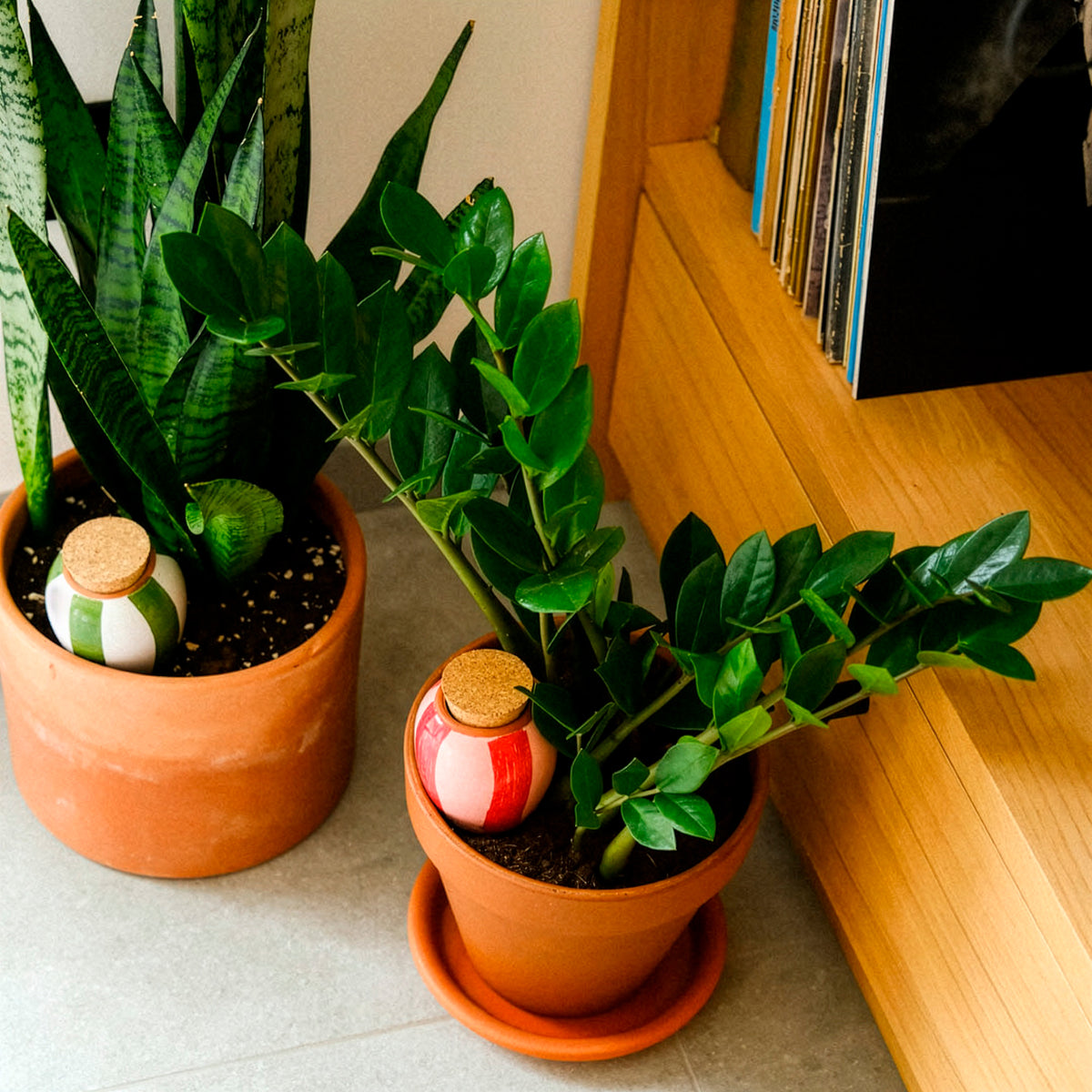 Mini Olla Trio – gestreept - - Willemse