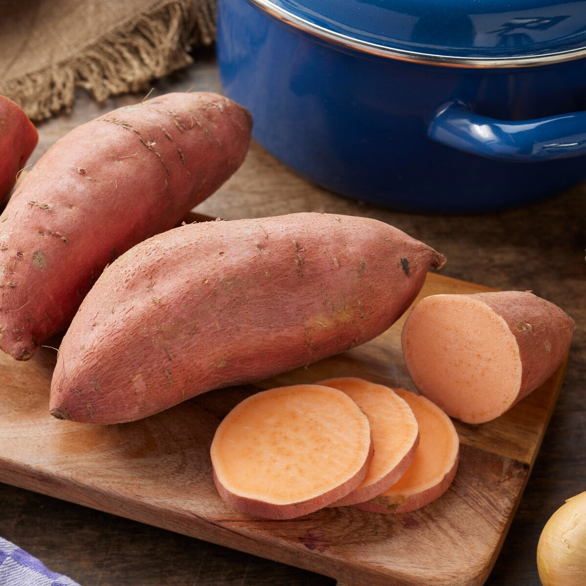 Zoete aardappel - Willemse