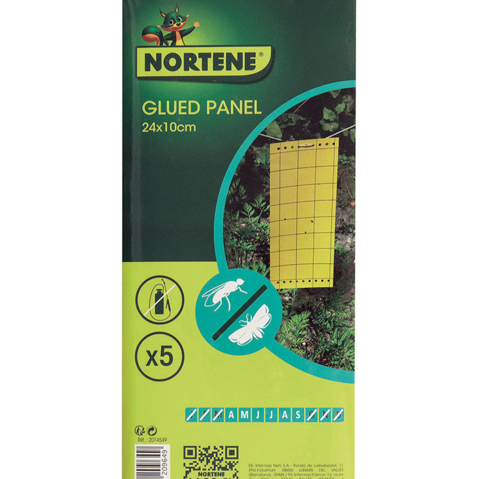 Kleverige insectenvallen (x5) - - Willemse