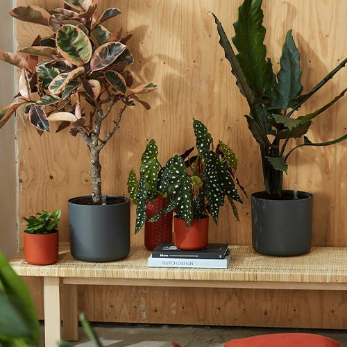 Elho Bloempot B for soft rond - antraciet