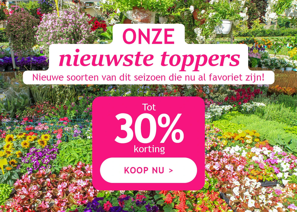 Onze nieuwste toppers tot 30% korting!