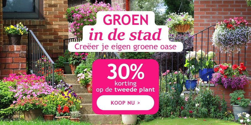 Groen in de stad: de -30% op het 2de product