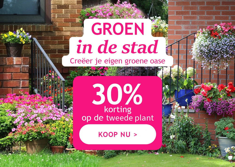 Groen in de stad: de -30% op het 2de product