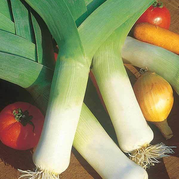 Prei 'Monstreaux de Carentan' - BIO - Willemse