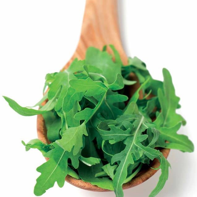 Rucola - BIO - Eruca sativa - Willemse