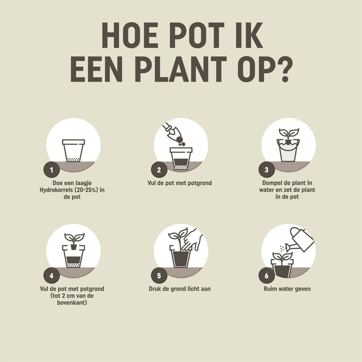 Pokon palmen potgrond