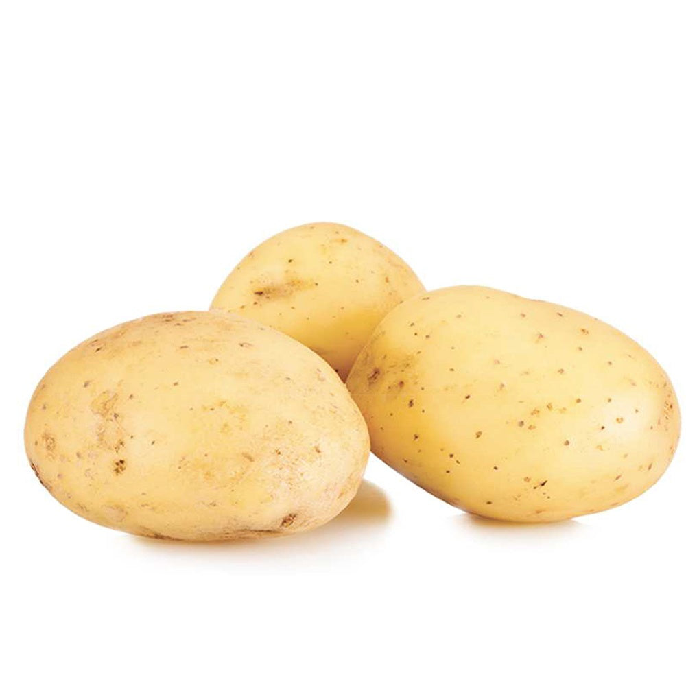 Aardappel 'Etincelle' (x25) - Solanum tuberosum etincelle - Willemse