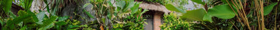 Jungleterras