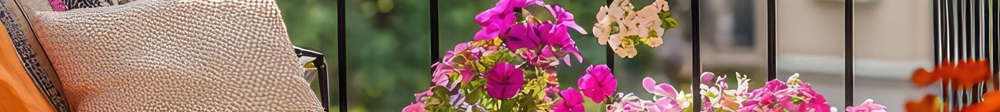 Balkon volgens het klimaat