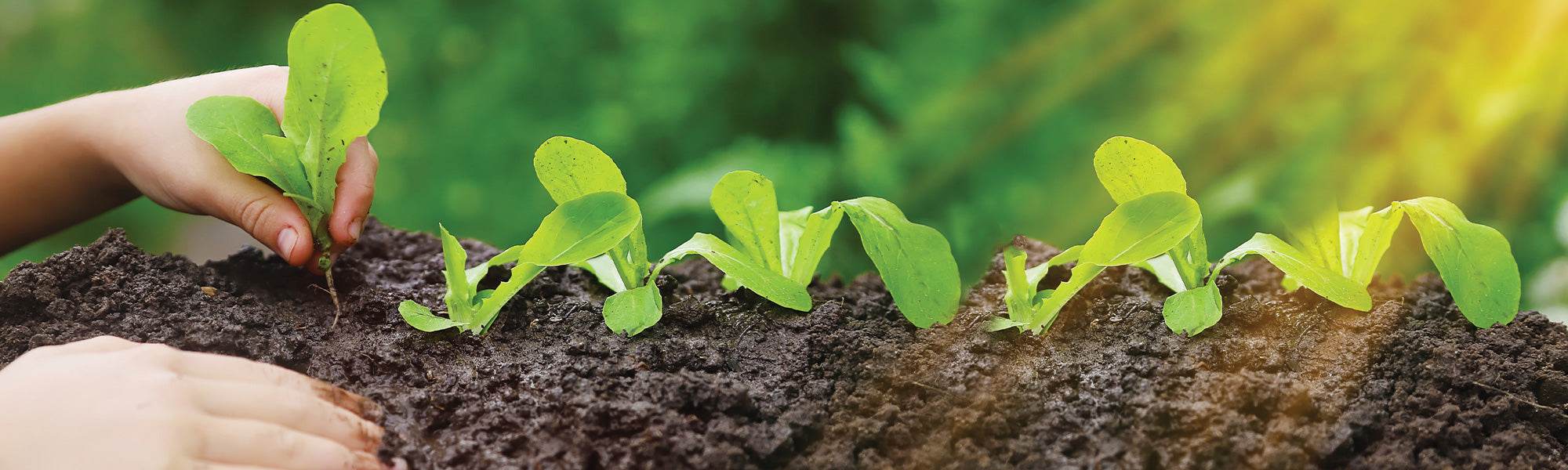 Mechanische Bescherming