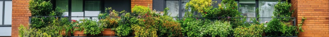 Jungleachtig balkon