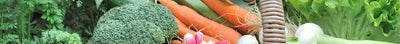 Productieve Moestuin