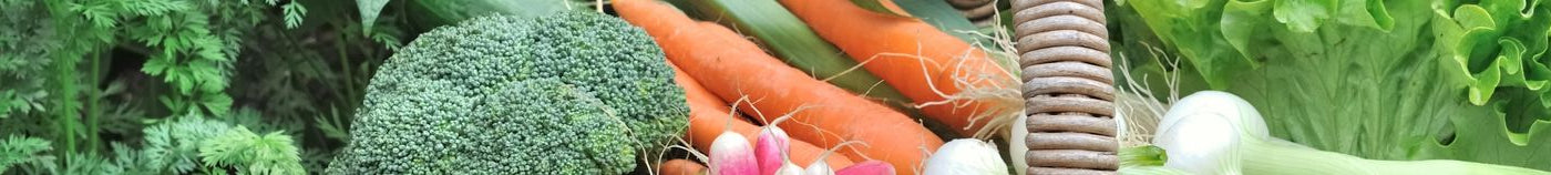 Productieve Moestuin