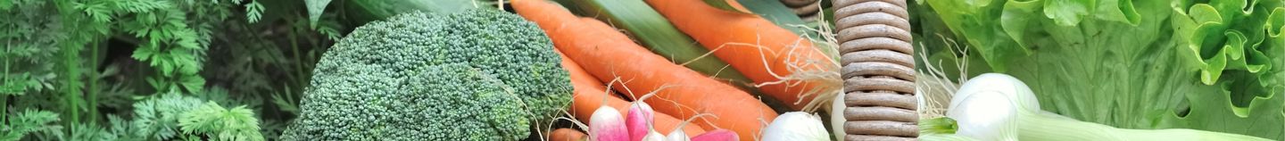 Productieve Moestuin