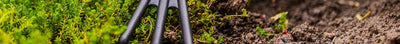 Seizoensgebonden Moestuin