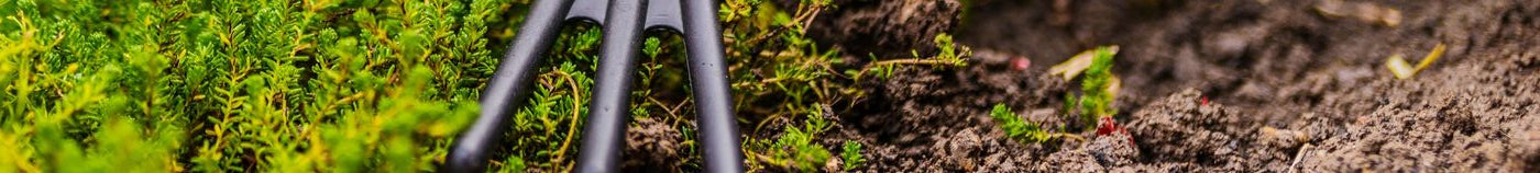 Seizoensgebonden Moestuin