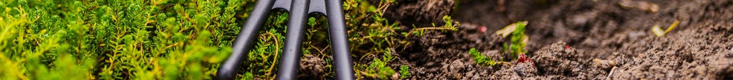 Seizoensgebonden Moestuin