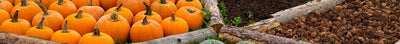 Herfstmoestuin