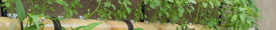 Verticale Moestuin