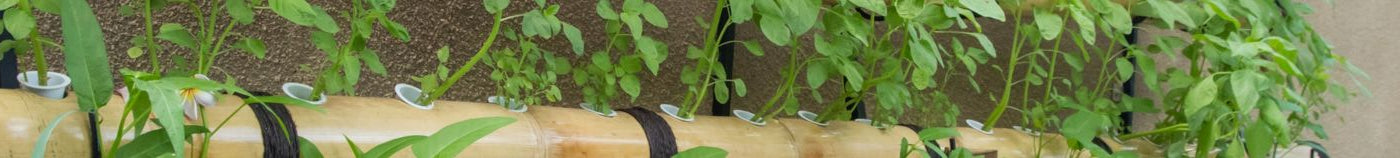 Verticale Moestuin