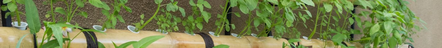 Verticale Moestuin