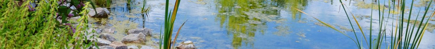 Natuurlijk Bassin