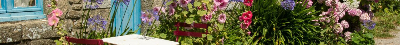 Planten aangepast aan het klimaat