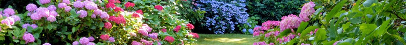 Planten voor een gematigde tuin