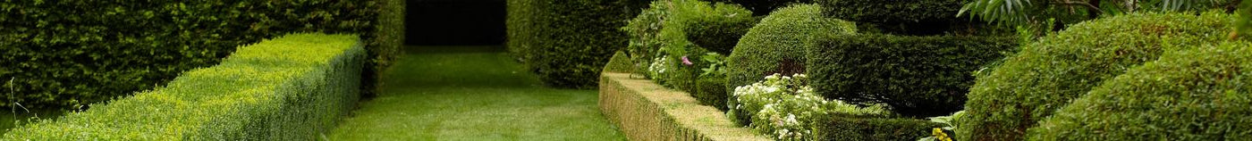 Franse tuin