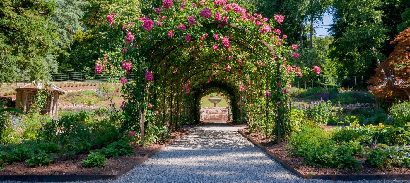 Romantische Tuin