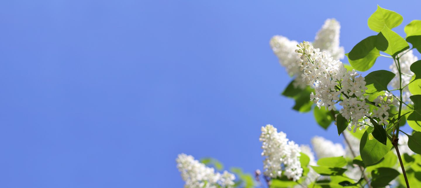 Geurige Tuinervaring