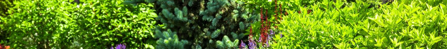 Landelijke Tuincharme