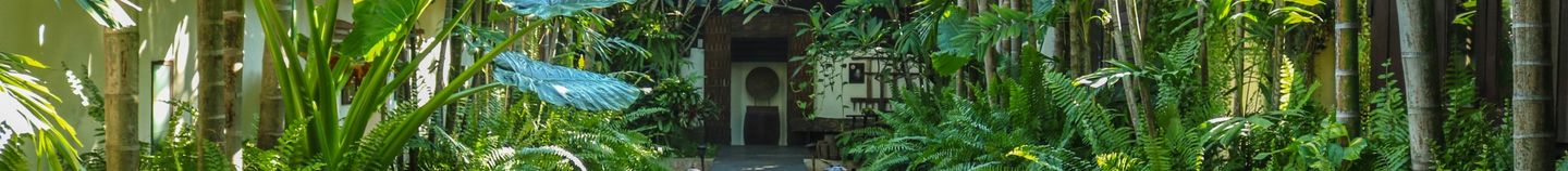 Exotische Jungle Tuin