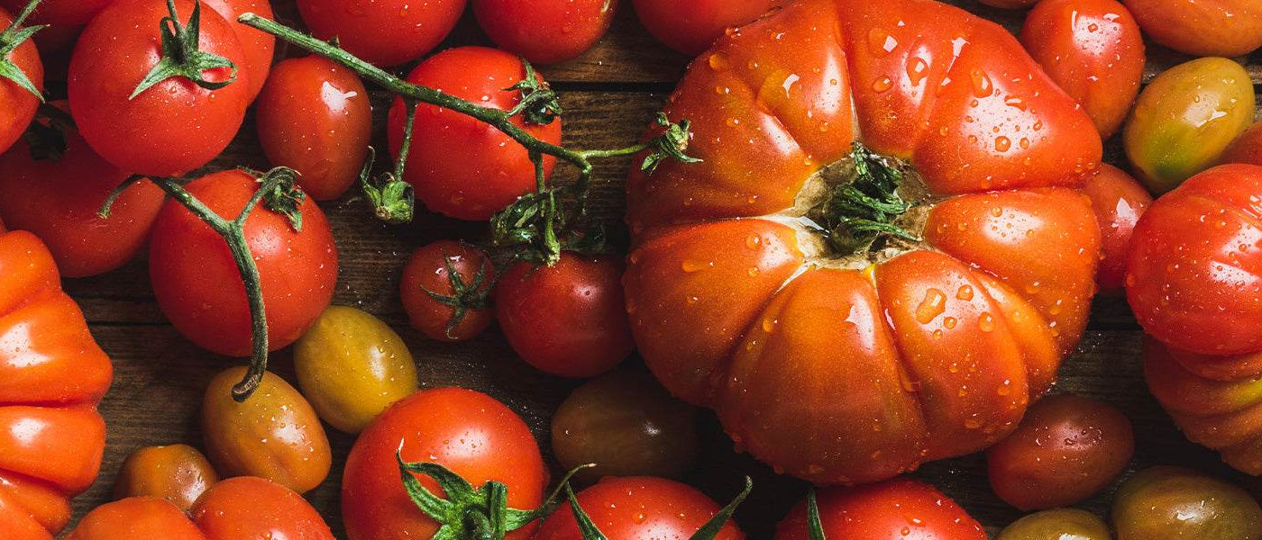 Oude tomatenrassen