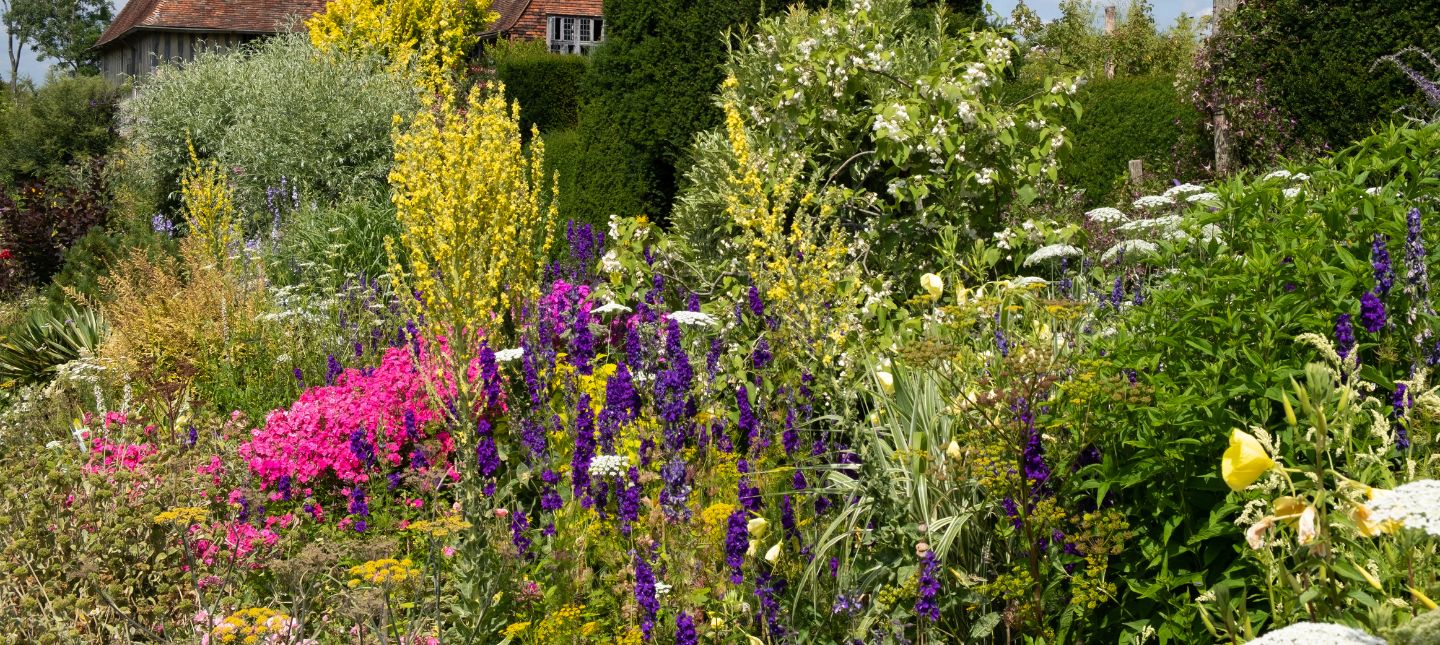 Onderhoudsarme Tuin
