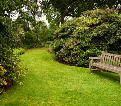 Tuin beschut tegen de wind