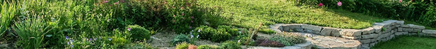 Tuin op een helling