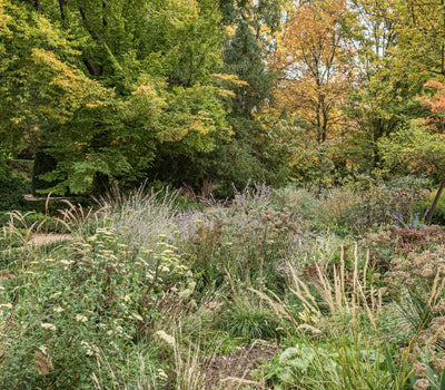 Natuurlijke en Ecologische Tuin